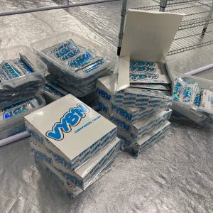 VYBN MUSHROOM CHOCOLATE BARS image 1