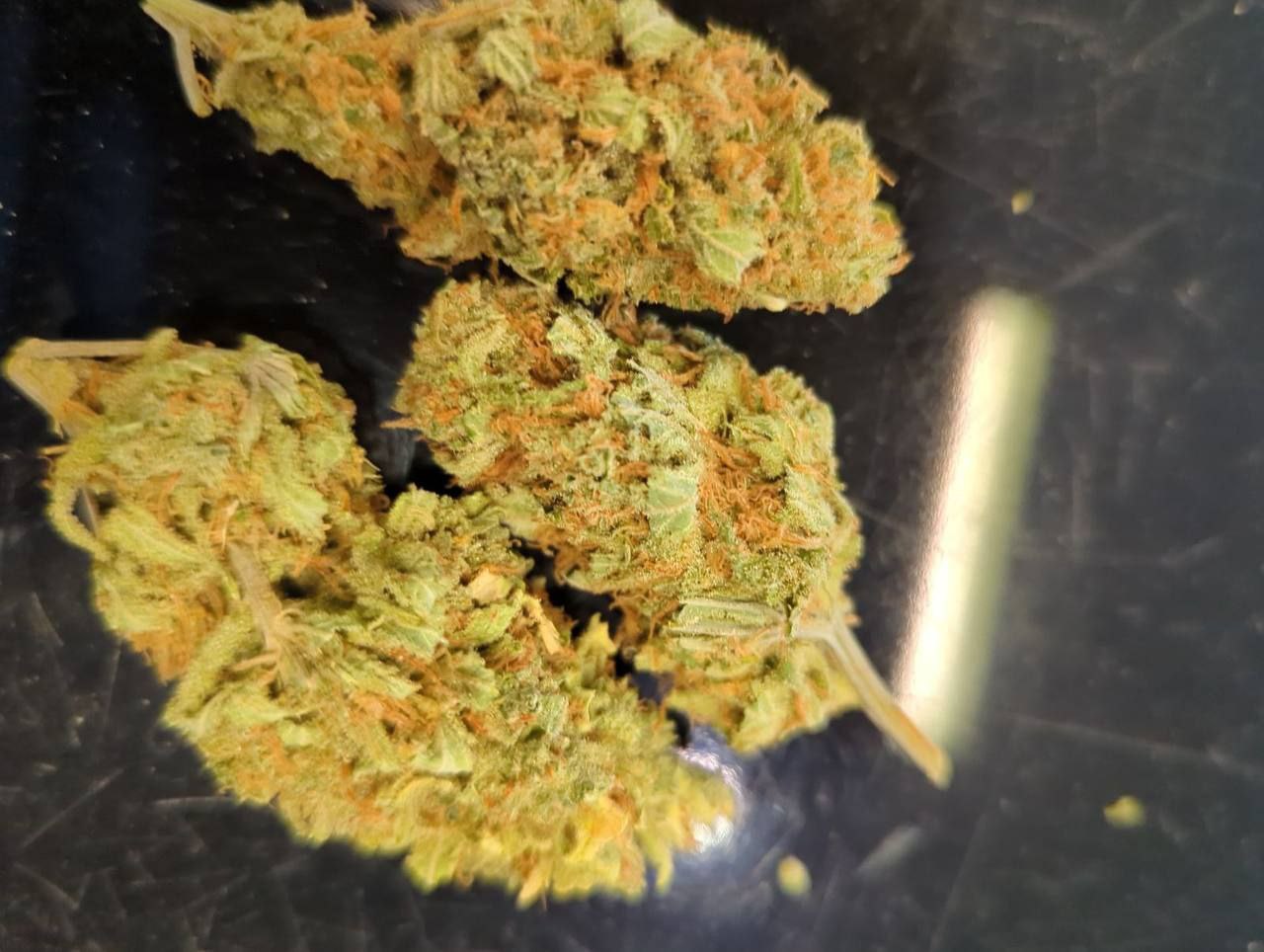 Amnesia Lemon image 1