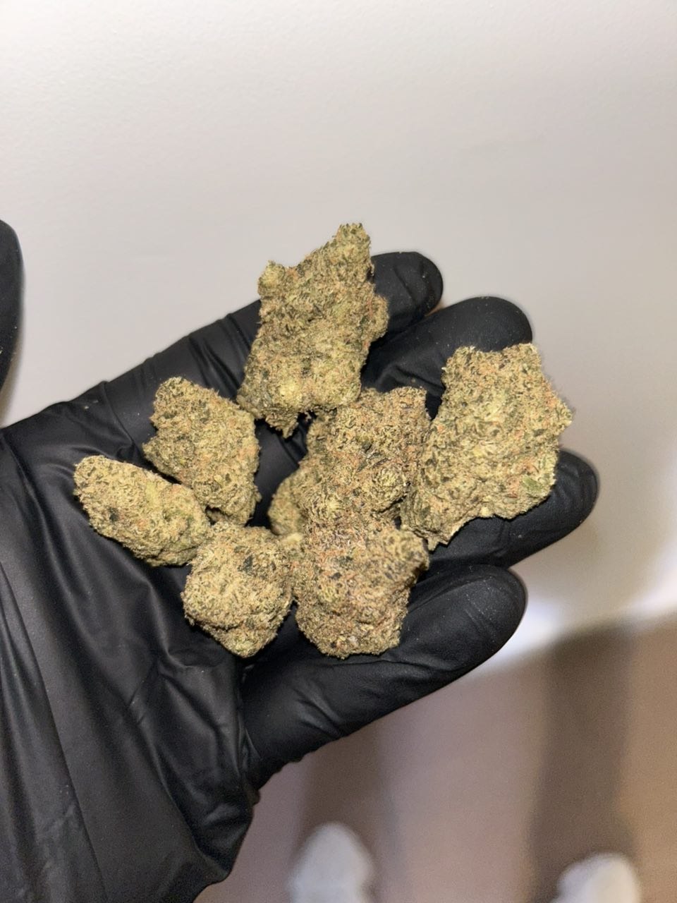 BLUE DREAM image 1
