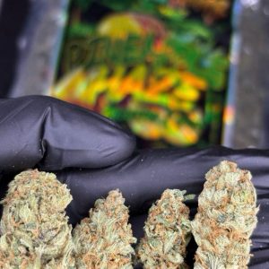 PINEAPPLE HAZE image 1