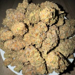 GELATO image 1