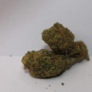 Gelato41 image 1